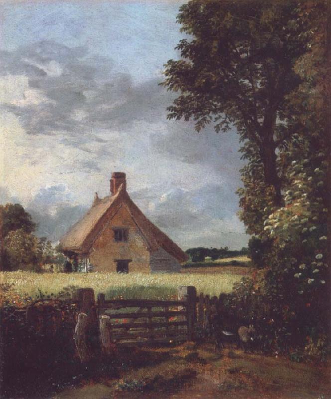 John Constable A cottage in a cornfield